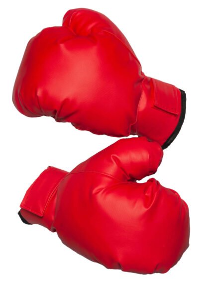 Professional Boxing Gloves | Mahzaib International